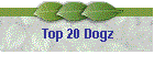 Top 20 Dogz